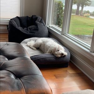 Meet your Posher, Gary